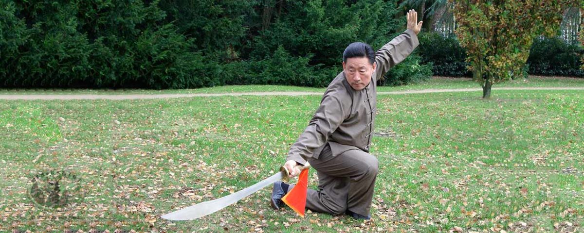 Os cinco níveis de Kung Fu – III