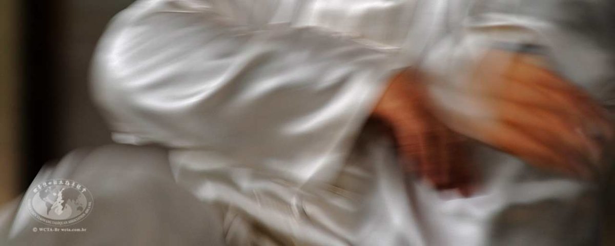 O conceito de qi (energia) no Taijiquan