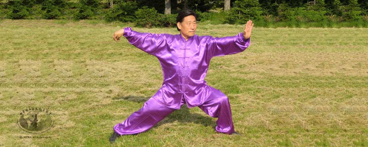 Taijiquan da Família Chen