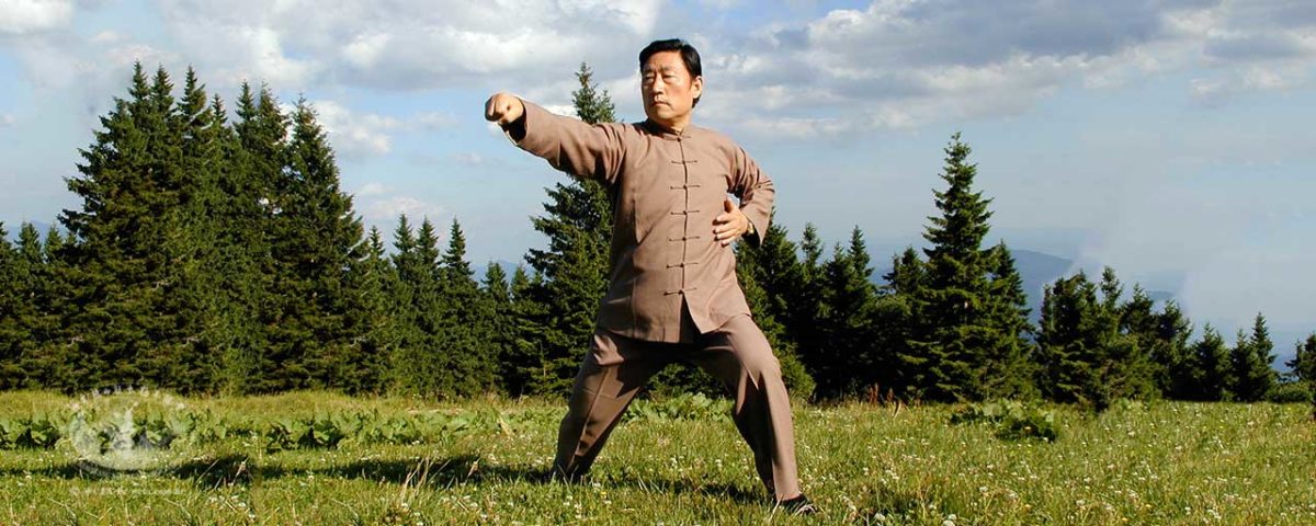 Os cinco níveis de Kung Fu – IV