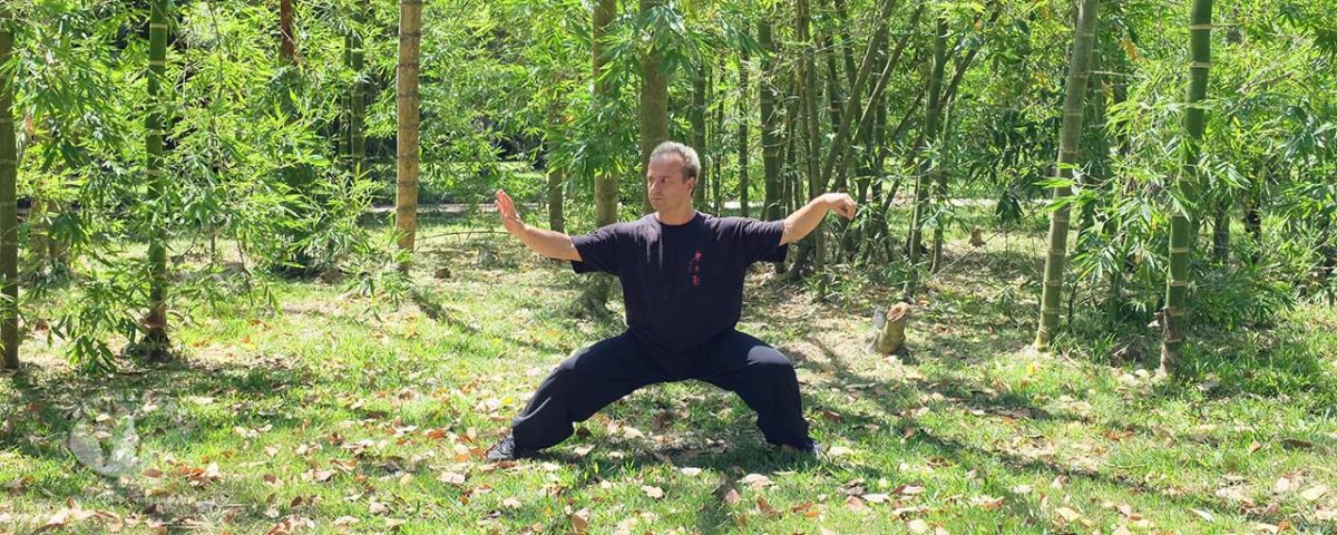 Os cinco níveis de Kung Fu – comentário