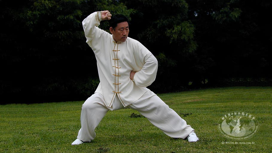 Os cinco níveis de Kung Fu – II