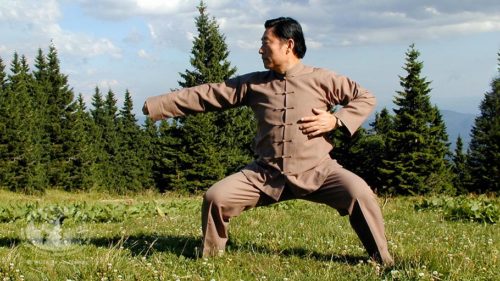 Os cinco níveis de Kung Fu – V