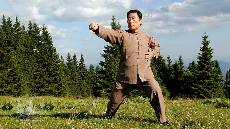 Os cinco níveis de Kung Fu – IV