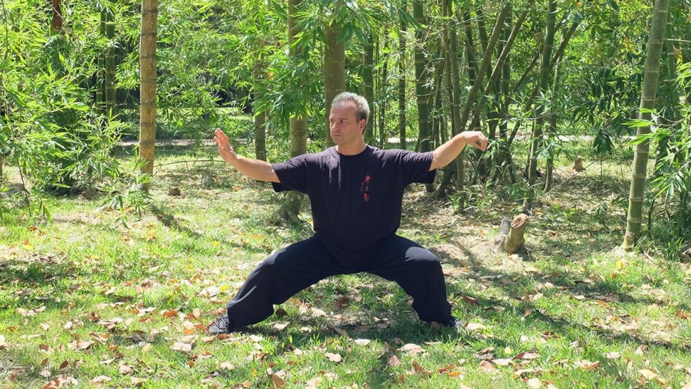 Os cinco níveis de Kung Fu – comentário